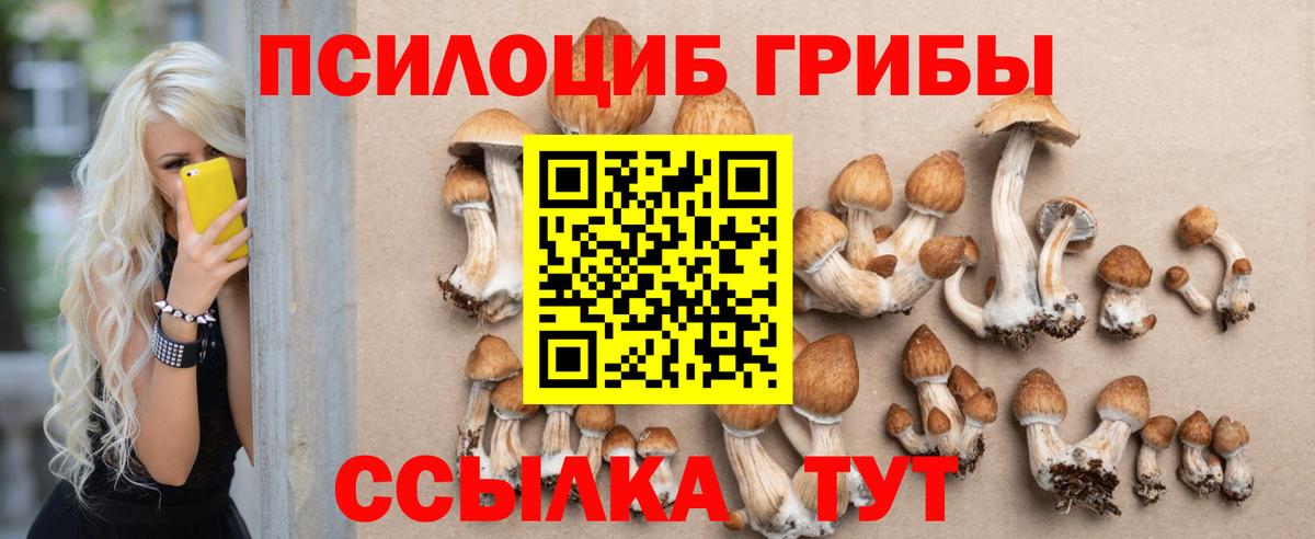 Мирный  Псилоцибиновые грибы ЛСД  Вход с VPN 